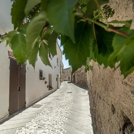 Domo Pro Vois Orosei