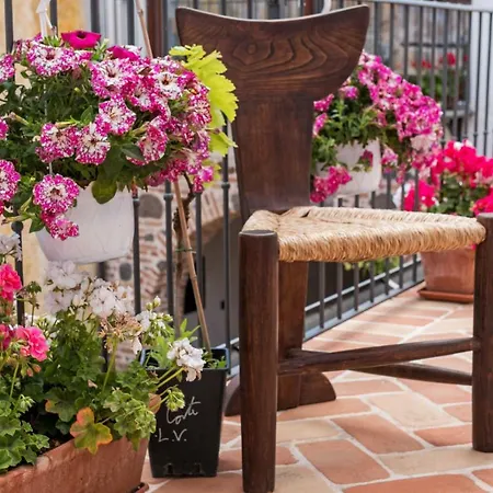 Gæstehus Domo Pro Vois 4*