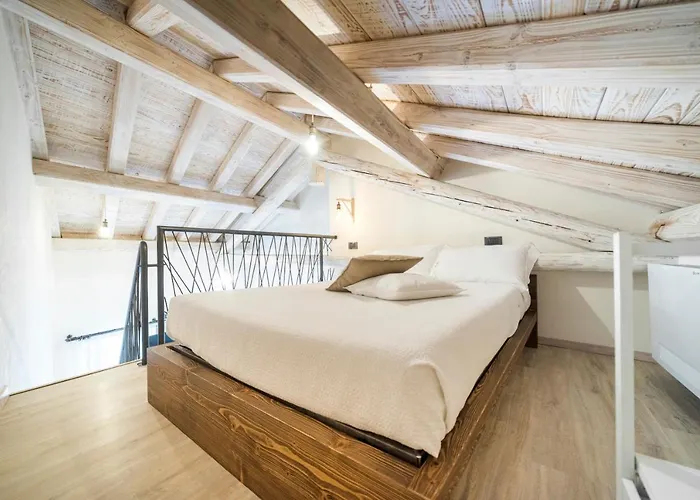 Domo Pro Vois 4* 奥罗塞伊