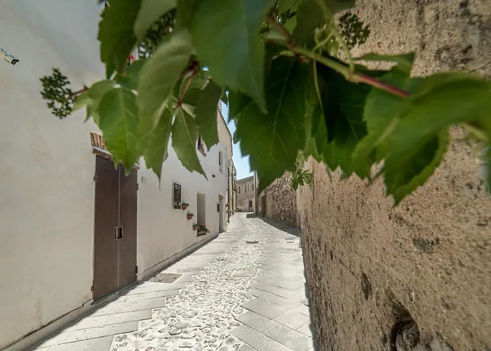 Domo Pro Vois 奥罗塞伊