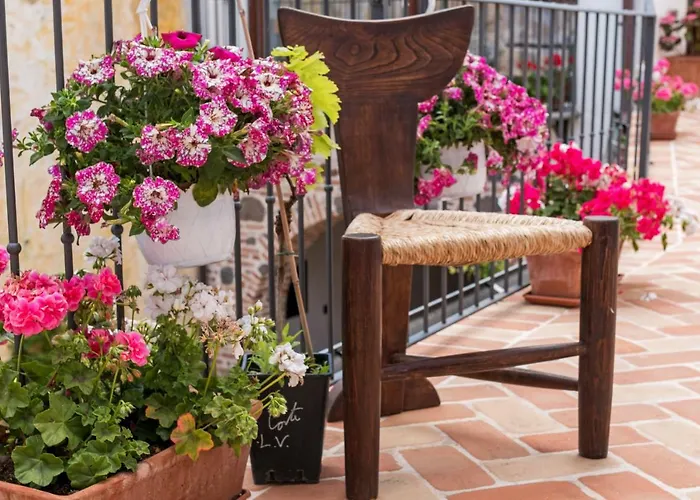 招待所 Domo Pro Vois 4*